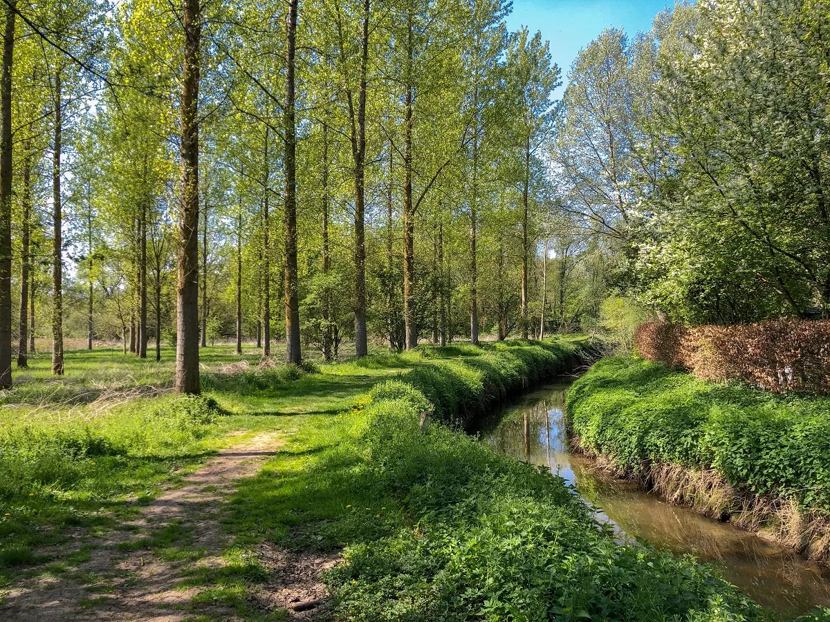 Mombeekvallei Alken